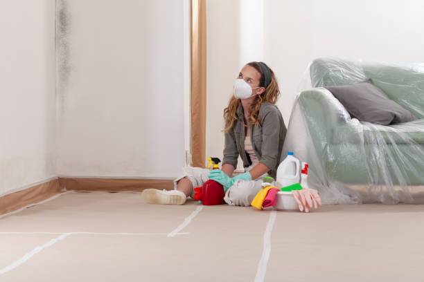 Reliable Basement Mold Removal contractor in Olivia, MN by WQB Mold Removal